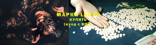 мяу мяу мука Баксан