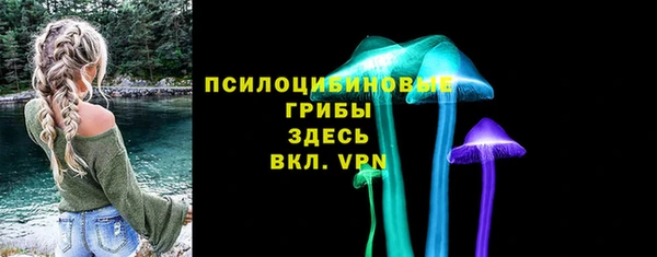 мяу мяу мука Баксан